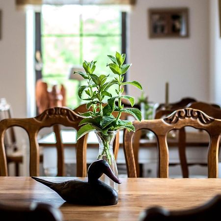 Bed and Breakfast Dom Pod Skrzydlami Gawliki Wielkie Exteriér fotografie
