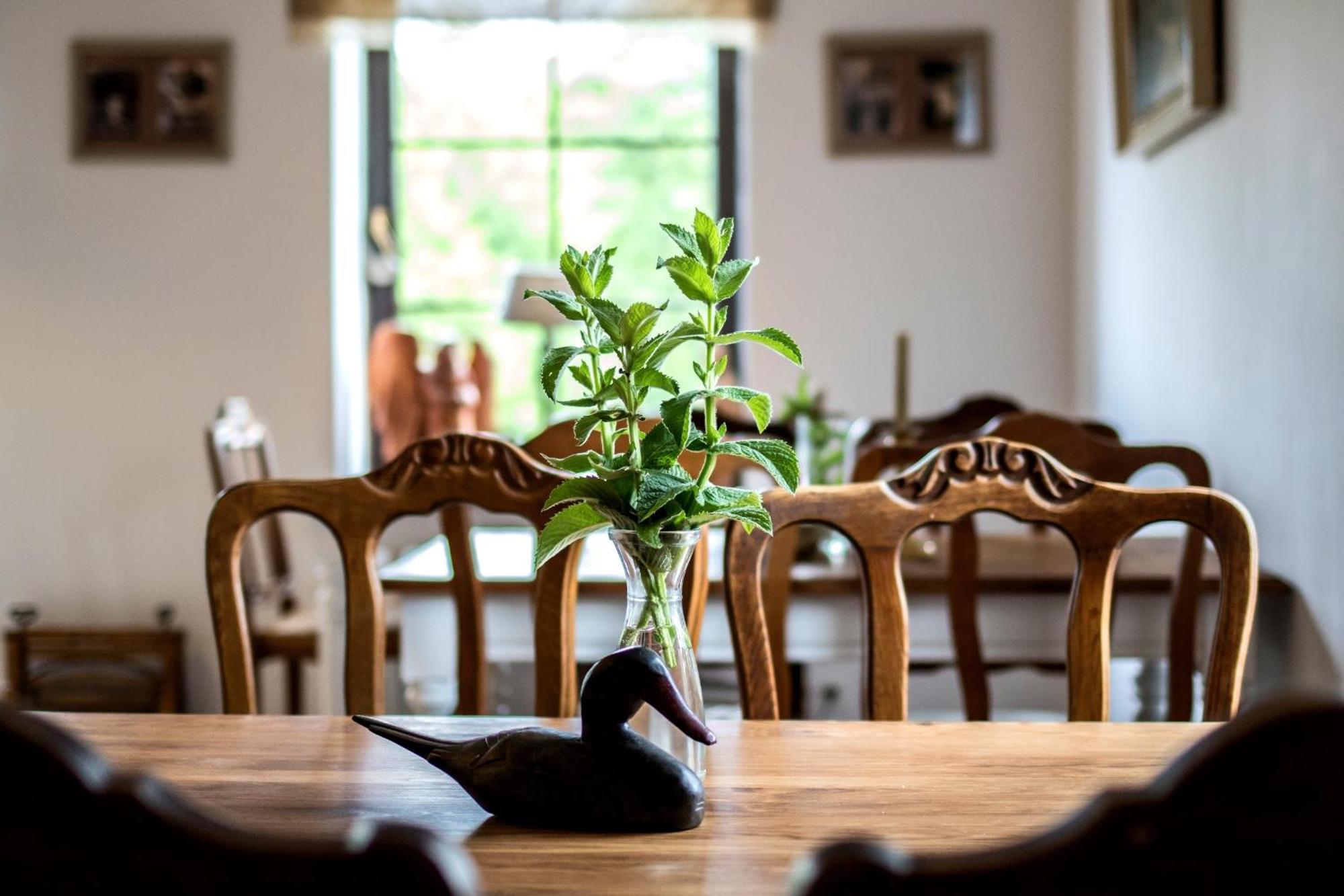 Bed and Breakfast Dom Pod Skrzydlami Gawliki Wielkie Exteriér fotografie